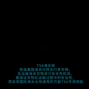 【SG】TSA customs combination lock backpack luggage wire lock aluminum alloy combination padlock