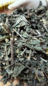 Daun Keji Beling 250gr atau Enyoh kelo Kering - Higienis