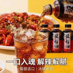 Refreshing Plum Juice Drink 24 Bottles 360ml
