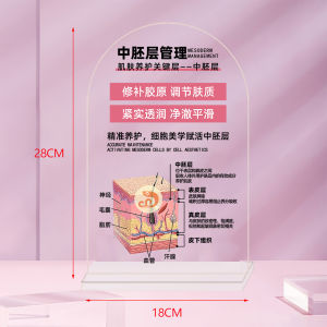 Acrylic Facial Cosmetic Decorative Stand Skin Care Product Store Display Beauty Salon Decoration Removable Desktop Ornament