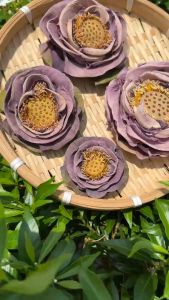 Trà Hoa Sen sấy lạnh nguyên bông- Giúp Cải thiện giấc ngủ an thần thanh nhiệt