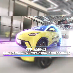 GECA BYD SEAGULL CAR GARNISHES COVER AND ACCESSORIES
