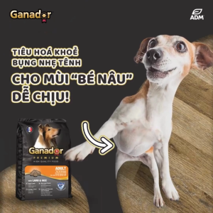 [10KG Bao Xá] Hạt Ganador Chó Mọi Lứa Tuổi | Pets Warehouse