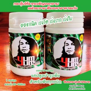 Premium Garden Soil Fertilizer for All Plant Types - High-Quality Plant Nutrition