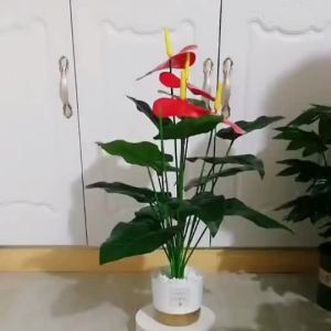 Cây cảnh trong chậu phong cách Bắc Âu trang trí trong nhà hoa cây xanh trang trí cây xanh nhân tạo đứng trên sàn