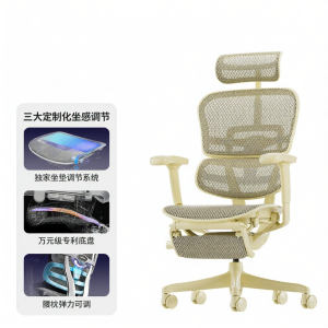 Ergonor | Ergonomic Desk Chair for Gaming Office Home Use