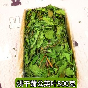 Dried Dandelion Leaf Rabbit Food Guinea Pig Health Care Grass Rabbit Treats Clear Heat Reduce Fire Pet Supplies