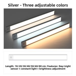 Wireless USB Charging LED Cabinet Light Human Body Induction Sensor Hallway Wine Cabinet Display Case Passage Control Lighting