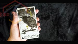 Kartu Tarot The Wild Unknown Ramalan Tarot Decks