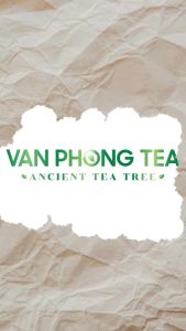 TRÀ CỔ THỤ TÚI LỌC MIX 3 VỊ VÂN PHONG (Hộp 20 gói)