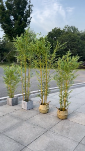 🔥สีไม่จางลง50ปี🔥 ต้นไม้ปลอม ต้นไม้ปลอมใหญ่ ต้นไผ่ปลอม 100/120/150/180cm ฟรีกระถางดอก +หินตกแต่ง ต้นไม้แต่งบ้าน+การตกแต่งร้านกาแฟ สไตล์นอร์ดิก ในบ้าน ต้นไม้มงคล ต้นไม้ประดิษฐ์ ต้นไม้ตกแต่งบ้าน ต้นไม้ปลอมสวยๆ ต้นไม้แต่งห้อง ต้นไม้มงคลสวยๆ ต้นไม้มงคลปลอม