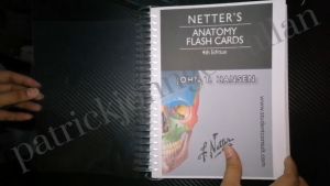 Netters Anatomy Flash Cards 4th Edition