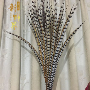 Lông Vũ Thiên Nga Tự Nhiên 60-175cm Trang Trí Sân Khấu Phụ Kiện Trang Sức Thời Trang DIY Phụ Kiện Trang Trí Mới Về