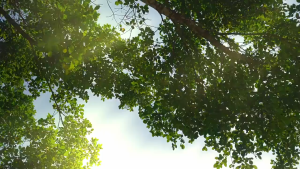 Gadguru Portable Handheld Fan Kipas Angin Ice Cooling Fan Turbo Fan 4000mAh Battery Mini Fan USB Fans 迷你风扇 手持风扇