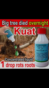 2025 racun rumput 🍀【100% Root Rot】 Weed Killer Racun Pokok Paling Kuat 🌿mati akar dalam 7 hari Tree Killer racun rumput paling kuat | Racun Pokok Kayu Besar 500g Formula Pekat | 除草剂 快速见效 mati akar Cepat Mati 根部彻底腐烂 roundup ubat rumput