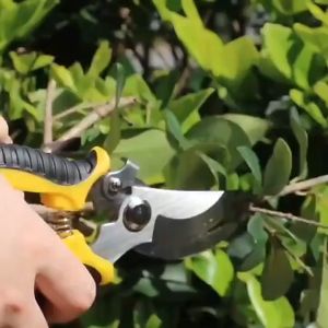TOOLIX กรรไกรตัดกิ่ง SK5 กรรไกรตัดกิ่งไม้ กรรไกรแต่งกิ่ง ทำสวน กรรไกรตัดแต่งกิ่งไม้ เครื่องมือจัดทำสวน มีระบบล็อคด้าม กรรไกรตัดกิ่งไม้ กรรไกรตัดกิ่ง Garden Hand Tools Scissors Stainless Steel Labor-Saving Pruning Scissors