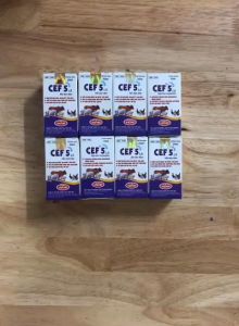 "Hoàn tiền đến 10%" Ceftiofua lọ 20ml tác dụng kéo dài điều trị tích cực viêm phối viêm vú viêm tiết niệu tai xanh lở mồm long móng. Thú y trường thịnh