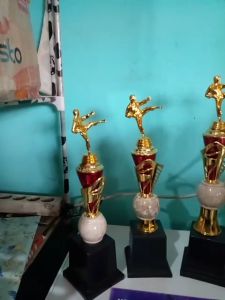 Piala Lomba Juara 1 2 3 4 (PENCAK SILAT BODY MERAH MARMER+RASER) "costum" FREE STICKER (BOLEH satuan)TERMASUK SETICKER DAN FREE DESIGN
