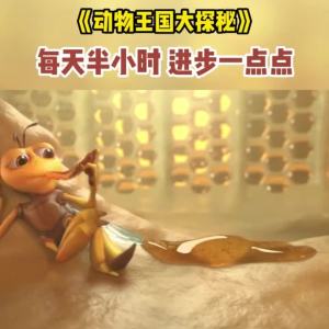 动物王国大探秘冒险U盘中英双字幕超火英语动画零基础英语启蒙Animal Kingdom Exploration Adventure USB flash drive with English subtitles super popular English animation zero foundation English enlightenment