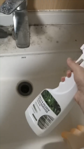 Top Seller MOLD AND MILDEW STAIN REMOVER SPRAY 500ml | Removes Stubborn Molds Mildew and Bad Odors | Suitable for All Types of Wall Surfaces | Effortlessly Spray & Wipe Away Mold | Quickly Removes Household Molds | Wall Stains Remover | Non-Toxic Formula