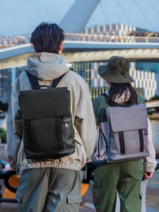 Pierre Cardin | Business Casual Laptop Backpack