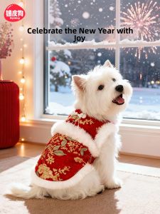 hipidog | Festive Winter Clothing for Small Dogs