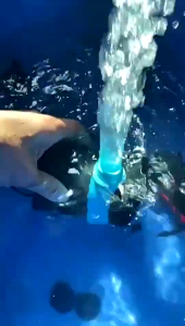 【รับประกัน 1ปี】ปั๊มน้ำตู้ปลา 95W 4500L/H ใช้สำหรับหมุนเวียนกรองและปั๊มแลกเปล ความเร็วการไหลที่ปรับได้（ปั๊มน้ำ บ่อปลา บ่อปลาปั๊มน้ำหมุนเวียน ปั๊มสะเทินน้ำสะเทินบก ปั๊มปลา ปั๊มจุ่ม ปั๊มน้ำพุ ปั๊มน้ำพิพิธภัณฑ์สัตว์น้ำ ปั้มน้ำบ่อปลา ปั้มน้ำขนาดเล็ก）