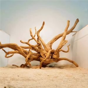 JIAXU | Rhododendron Root Driftwood Natural Air Dried With Moss