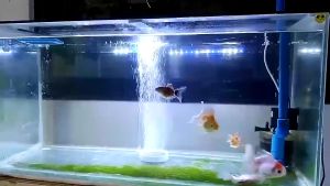 Aquarium Nano Bubble Stone Oxygen Stone Ultra High Dissolved Oxygen Diffuser Hydroponic Oxygen Plate