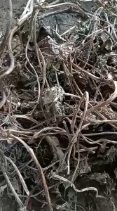 Daun Ubi Uwi Kering / Daun Umbi Uwi Kering Herbal Alami