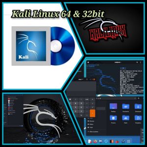 Dvd installer Kali linux 64bit & 32bit
