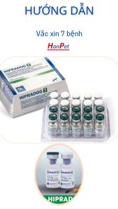 (Hoả tốc HN ) Hướng dẫn tiêm vắc xin chó 7 bệnh (tặng bơm kim tiêm) Tiêm Phòng Cho Chó Con Hiệu Quả Vắc Xin Chó Bảo Quản Lạnh - Lazada