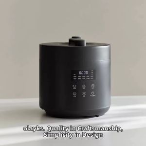 Olayks | Mini Pressure Cooker 2.5L