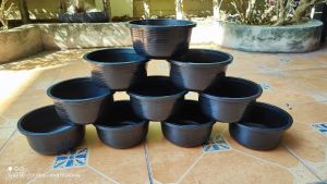 กระถางแขวน 7.5 นิ้ว แพ็คละ 10 ใบ ราคาถูกเกินอะ