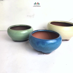 The Leaferie Bonsai Pot / Tray (Series 25) . Plant pot . Ceramic . Flowerpot . Planter. Flower pots