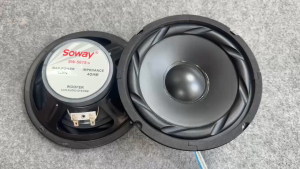 Củ Loa Trung Bass 16 coil 25 từ 80 (Giá 1 Cái) Hàng mới nhập khẩu soway chính hãng (SW5615)