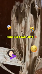 RayKiller Obat Anti Rayap Spray Efekif Membasmi Rayap Bergaransi