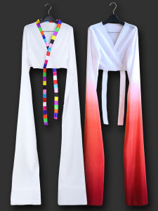Classical Tibetan Water Sleeve Dance Costume Practice Top Performance Outfit Shocking Dance Shi Wei Opera Ethnic Wear
