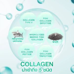 ปวดเข่า ปวดข้อ Ingen collagen5 ลดราคาพิเศษ ซื้อ2ฟรี2ซอง