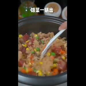 调味料 160g 家用懒人焖饭酱汁 煲仔饭调味料汁 Household Lazy Rice Sauce Claypot Rice Seasoning Sauce