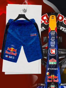 DINGSHA | Quick-Drying Mens Bermuda Shorts