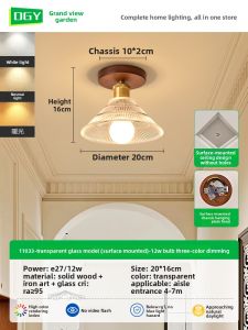 DGY | French Vintage Corridor Light Glass Ceiling Lamp