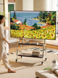 BESSGROUP | Movable Stainless Steel TV Stand With Drawer And Wheels
