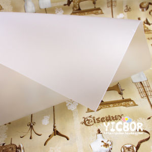 เทมเพลตผิวหยาบพลาสติกแผ่นพลาสติกใสแบบ DIY สำหรับทำปะต่อแบบกระดาษบันทึกระยะยาวรูปปากทอง