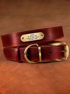 JINLINGJIE | Engraved Genuine Leather Collar Small Dogs