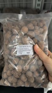 Đất nung  trồng cây Sfarm gói 1kg chuyên dùng trồng hoa lan lót đáy chậu giúp cây thoát nước tốt