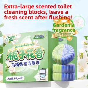 MOULIQIN | Deodorizing Scented Toilet Cleaner