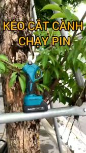 Kéo cắt trái cây dùng pin Mulinsen 21Vol
