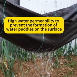 Anti-grass netting / Lawn isolation strip / Ground cover / Weed removal mat / Weeds and Pest Control / Heavy Duty Weed Barrier Fabric