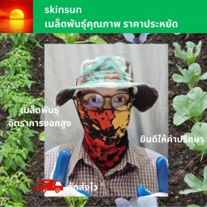 เมล็ดผักสลัด ผักต่างประเทศ (ซื้อ10แถม1 คละได้)